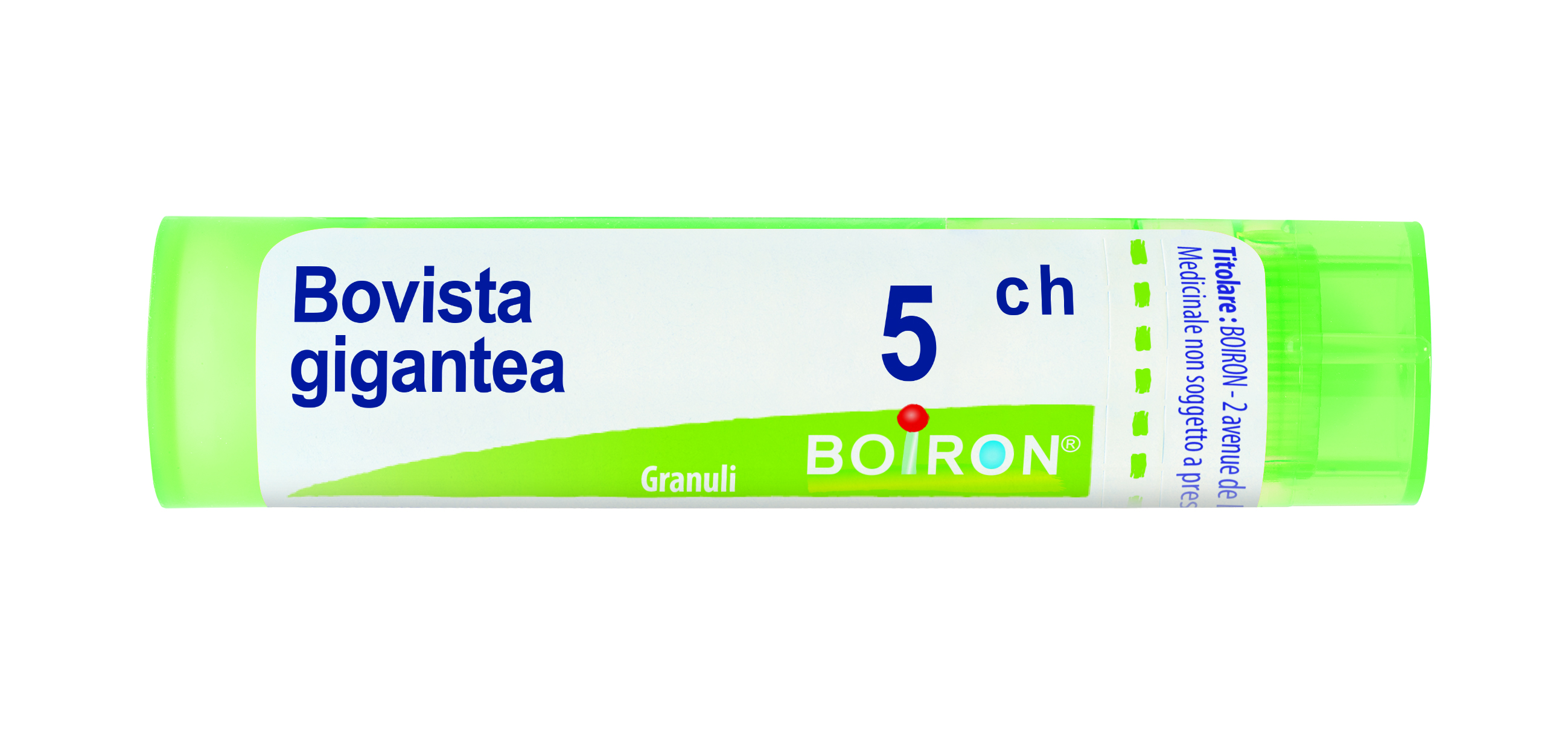 BOVISTA GIGAN BOI*5CH GR 4G - farmasconti.eu