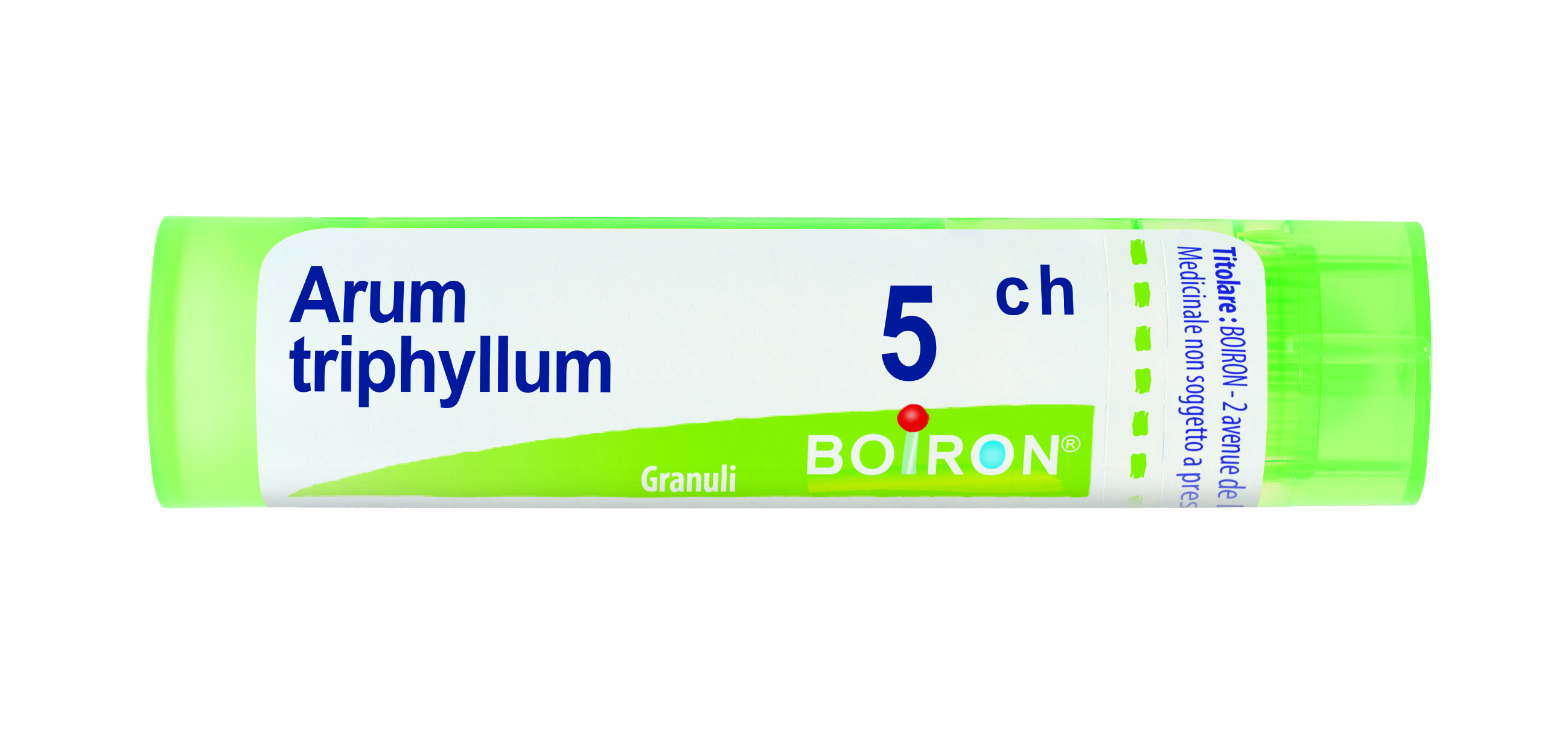 ARUM TRIPHYL BOI*5CH GR 4G - farmasconti.eu