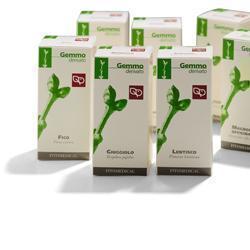 RIBES NERO MACERATO GLICERICO 100 ML - farmasconti.eu