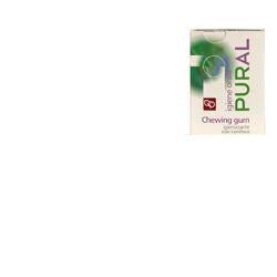 PURAL CHEWING GUM 14 G IGIENIZZANTE - farmasconti.eu