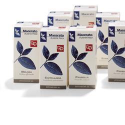 UVA URSINA TINTURA MADRE 200 ML - farmasconti.eu
