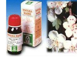 BIANCOSPINO 10 50ML TM - farmasconti.eu