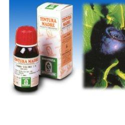MIRTILLO 31 50ML TM - farmasconti.eu