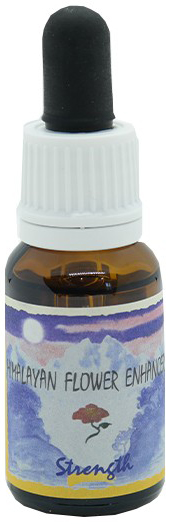 STRENGTH ESSENZA 15 ML 1 PEZZO - farmasconti.eu