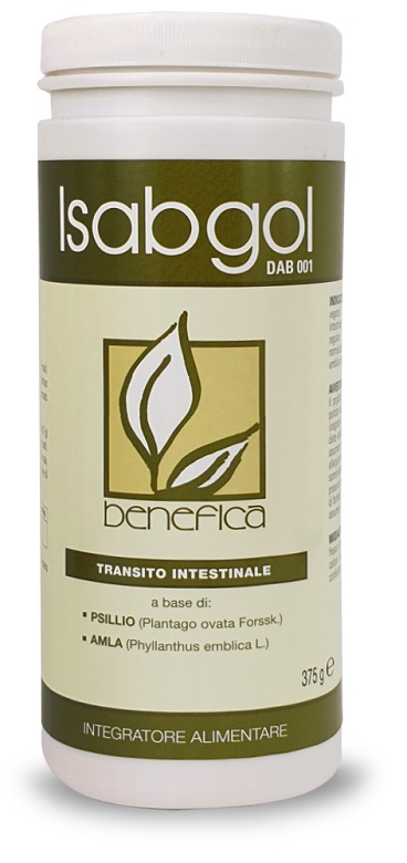 DAB 001 ISABGOL 375 G - farmasconti.eu