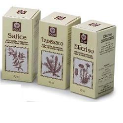 OLIO GERME GRANO 100 ML 501 - farmasconti.eu