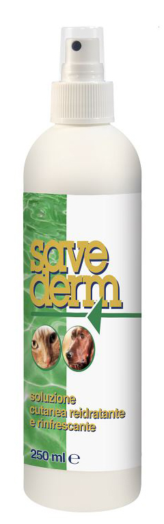 SAVEDERM SOLUZIONE 250 ML - farmasconti.eu
