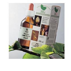 FICO MACERATO GLICERICO 100 ML - farmasconti.eu