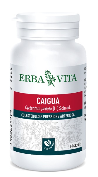 CAIGUA 60 CAPSULE 400 MG - farmasconti.eu