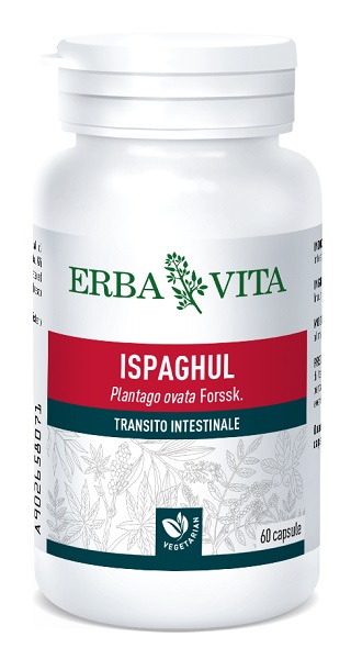 ISPAGHUL 60 CAPSULE 500 MG - farmasconti.eu