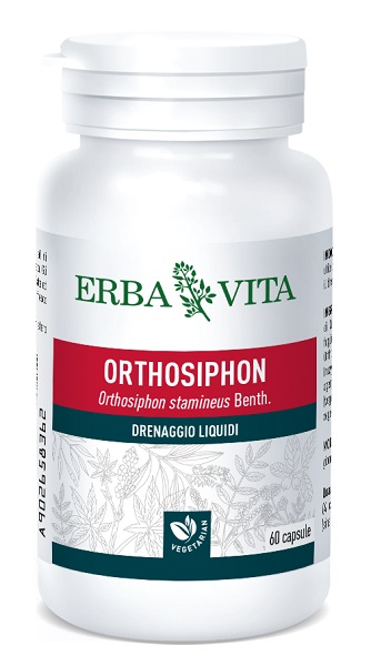 ORTOSIPHON 60 CAPSULE 400 MG - farmasconti.eu