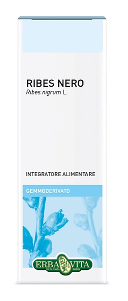 GEMMODERIVATO RIBES NERO 50 ML - farmasconti.eu