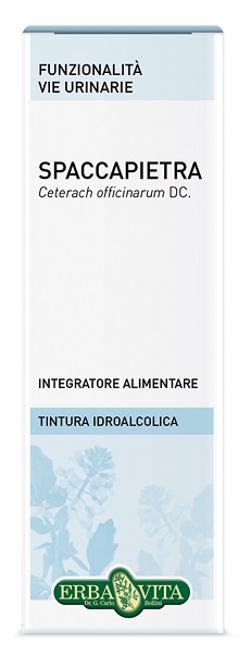 SPACCAPIETRA TINTURA IDROALCOLICA 50 ML EBV - farmasconti.eu