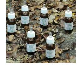 ZECALM OLIO MASSAGGIO 50 ML - farmasconti.eu
