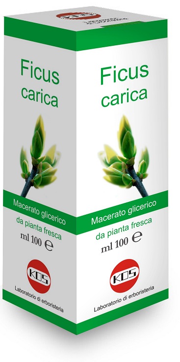 FICUS CARICA MACERATO GLICERICO 100 ML - farmasconti.eu