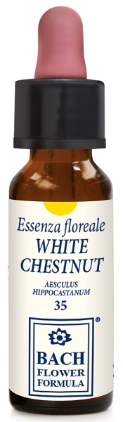 WHITE CHESTNUT ORIGINAL 10 ML - farmasconti.eu