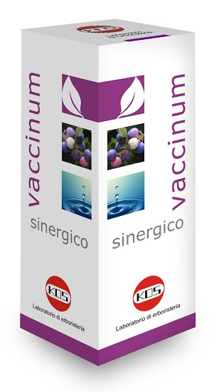 VACCINIUM SINERGICO GOCCE 100 ML - farmasconti.eu