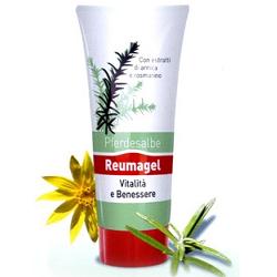 RECOVER GEL PFERDESALBE 200 ML - farmasconti.eu