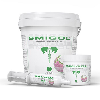SMIGOL PASTA SIRINGA 100 G - farmasconti.eu