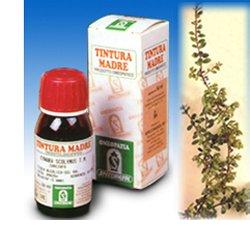 UVA URSINA 30 50ML TM - farmasconti.eu