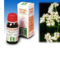 VALERIANA 36 TINTURA MADRE 50 ML - farmasconti.eu