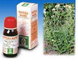 ACHILLEA 51 TINTURA MADRE 50 ML - farmasconti.eu