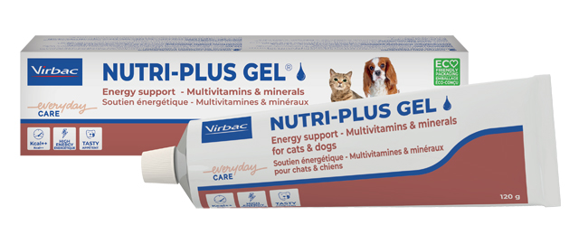 NUTRIPLUS GEL PASTA ORALE 120 G - farmasconti.eu