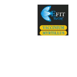 VACCINIUM MYRTILLUS ESTRATTO FLUIDO 30 ML - farmasconti.eu