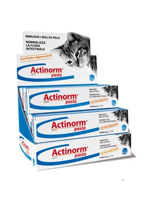 ACTINORM PASTA GATTI 65 G - farmasconti.eu