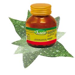 OLIO DI ENOTHERA BORRAGINE 50 PERLE - farmasconti.eu