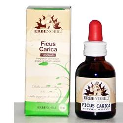 FITOBLASTO FICUS CARICA 50 ML - farmasconti.eu