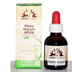 FITOBLASTO RIBES NIGRUM 50 ML - farmasconti.eu