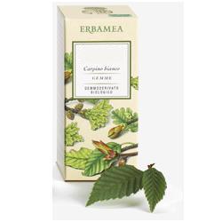 BETULA VERRUCOSA LINFA GEMMODERIVATO BIO 50 ML - farmasconti.eu