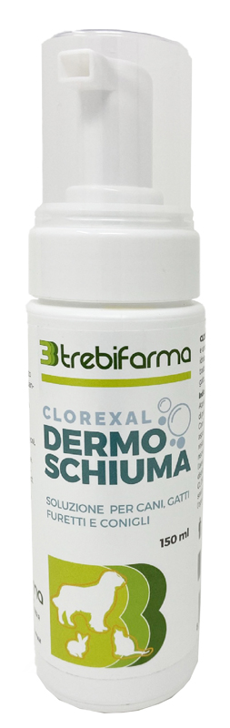CLOREXAL DERMOSCHIUMA 150 ML - farmasconti.eu