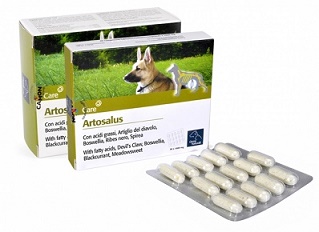 ORME NAT ARTOSALUS 60 COMPRESSE - farmasconti.eu