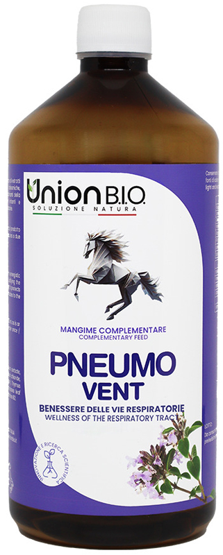 PNEUMO VENT 1 LITRO - farmasconti.eu