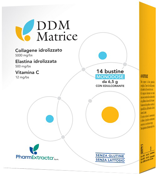 DDM MATRICE 14 BUSTINE - farmasconti.eu