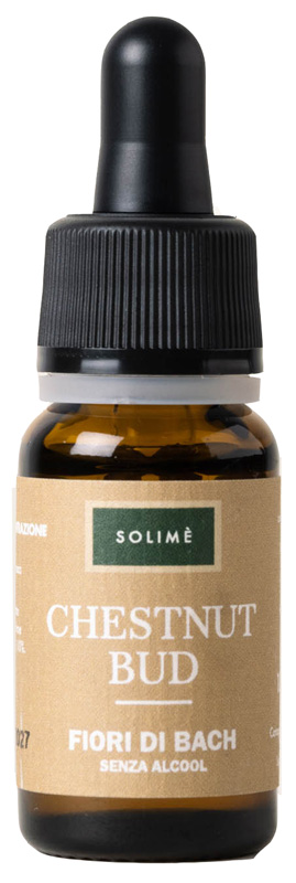 CHESTNUT BUD 10 ML - farmasconti.eu