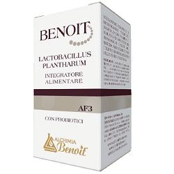 BENOIT LACTOBACILLUS PLANTHARUM 30 CAPSULE - farmasconti.eu