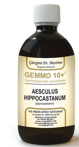 GEMOO 10+ GEMMODERIVATO CONCENTRATO IPPOCASTANO LIQUIDO ANALCOLICO AESCULUS HIPPOCASTANUM IPPOCASTANO 500 ML - farmasconti.eu