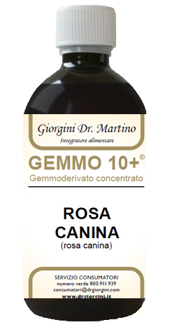 GEMMO 10+ ROSA CANINA LIQUIDO ANALCOLICO 500 ML - farmasconti.eu