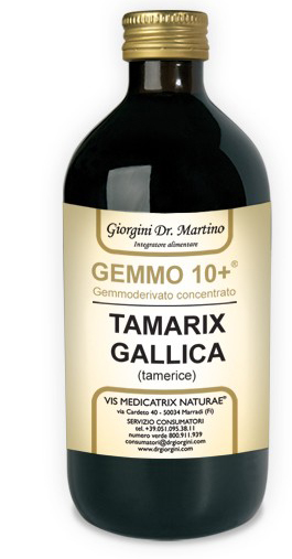 GEMMO 10+ GEMMODERIVATO CONCENTRATO LIQUIDO ANALCOLICO TAMARIX GALLICA TAMERICE 500 ML - farmasconti.eu