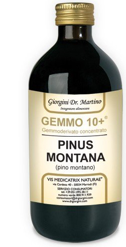GEMMO 10+ GEMMODERIVATO CONCENTRATO LIQUIDO ANALCOLICO PINUS MONTANA PINO MONTANO 500 ML - farmasconti.eu