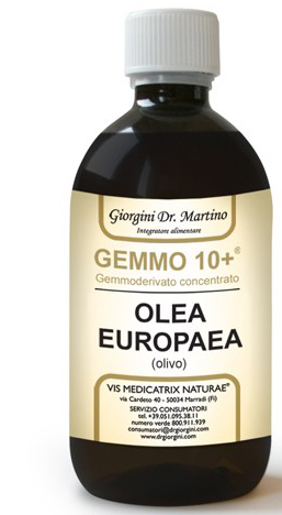 GEMMO 10+ OLIVO 500 ML LIQUIDO ANALCOLICO - farmasconti.eu