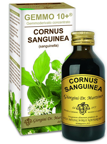 GEMMO 10+ SANGUINELLA 100 ML LIQUIDO ANALCOLICO - farmasconti.eu