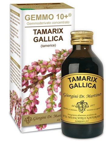 GEMMO 10+ TAMERICE 100 ML LIQUIDO ANALCOLICO - farmasconti.eu