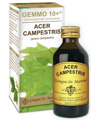 GEMMO 10+ ACERO CAMPESTRE 100 ML LIQUIDO ANALCOLICO - farmasconti.eu