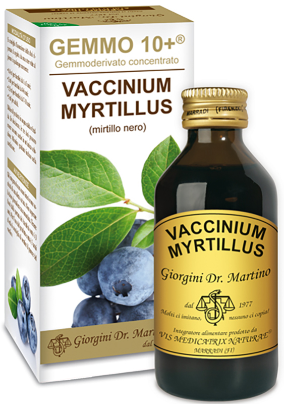 GEMMO 10+ GEMMODERIVATO CONCENTRATO VACCINIUM MYRTILLUS MIRTILLO NERO SENZA ALCOOL 100 ML - farmasconti.eu