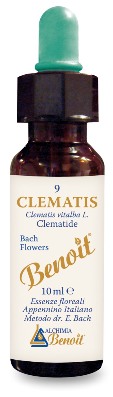 FIORI DI BACH BENOIT CLEMATIS 10 ML - farmasconti.eu