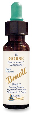 FIORI DI BACH BENOIT GORSE 10 ML - farmasconti.eu